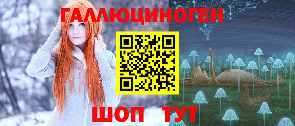 Псилоцибиновые грибы ЛСД  Вход с VPN  Губаха  Галлюциногенные грибы Psilocybine cubensis 