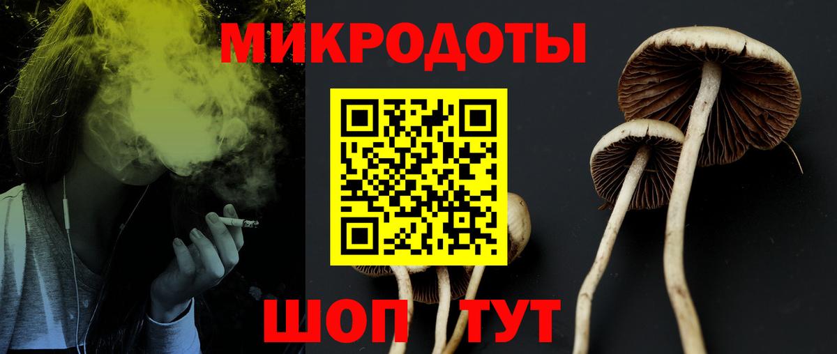 Галлюциногенные грибы Magic Shrooms Губаха