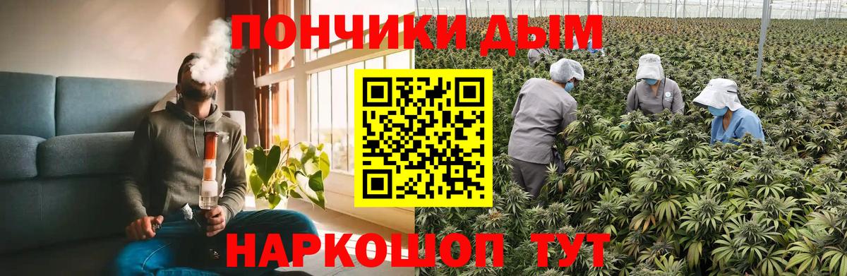 Бошки Шишки SATIVA & INDICA  Шишки марихуана Amnesia  Каннабис THC 21%  Губаха  Вход с VPN 